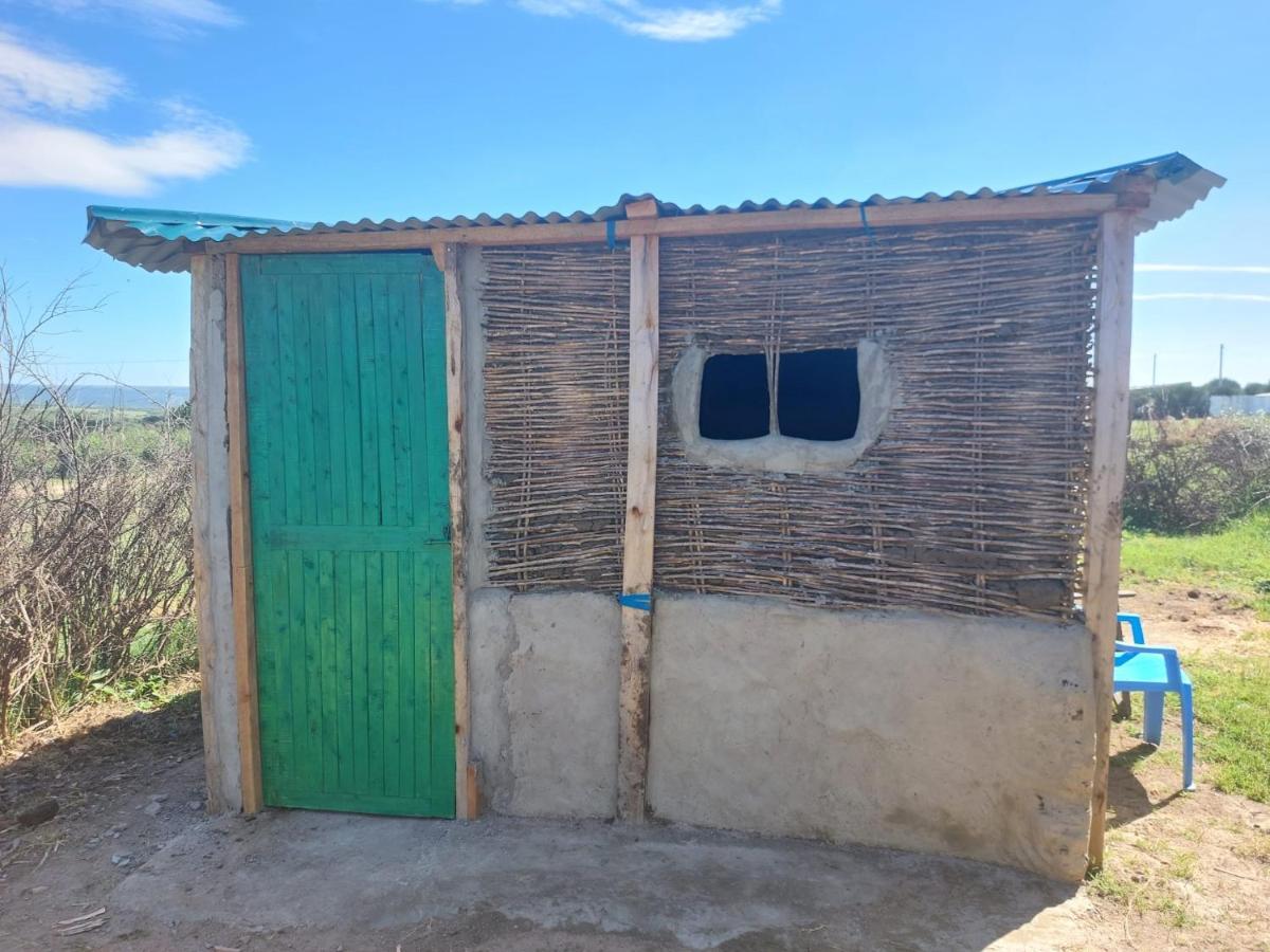 Maasai Homestay Camping Sekenani ภายนอก รูปภาพ