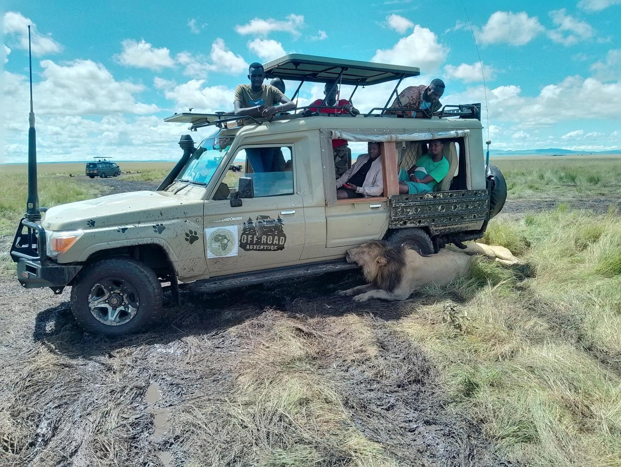 Maasai Homestay Camping Sekenani ภายนอก รูปภาพ